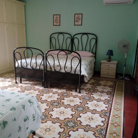 Bed and Breakfast Il Cactus San Giovanni Incarico Екстер'єр фото