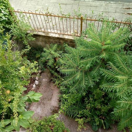 Bed and Breakfast Il Cactus San Giovanni Incarico Екстер'єр фото