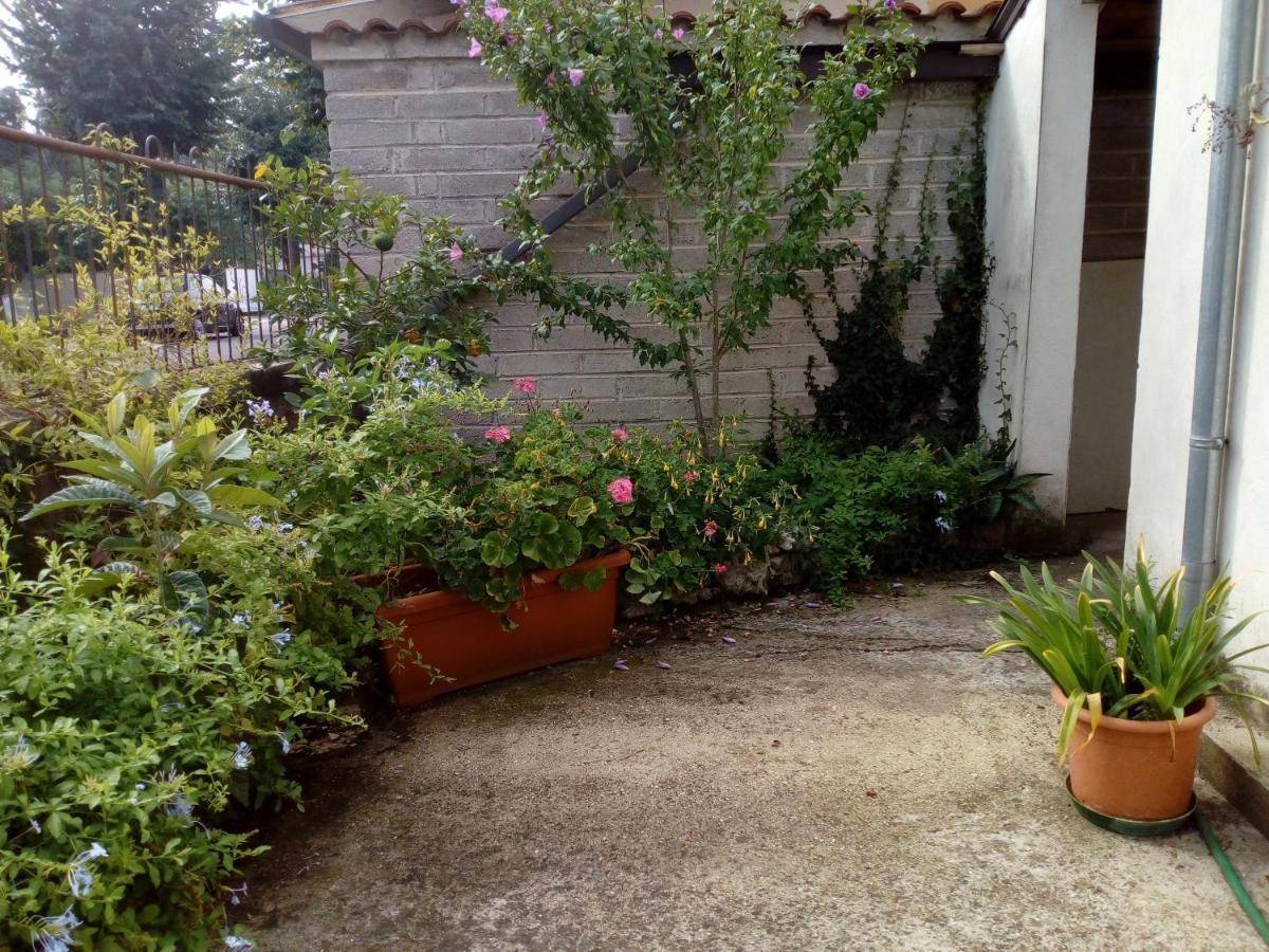 Bed and Breakfast Il Cactus San Giovanni Incarico Екстер'єр фото