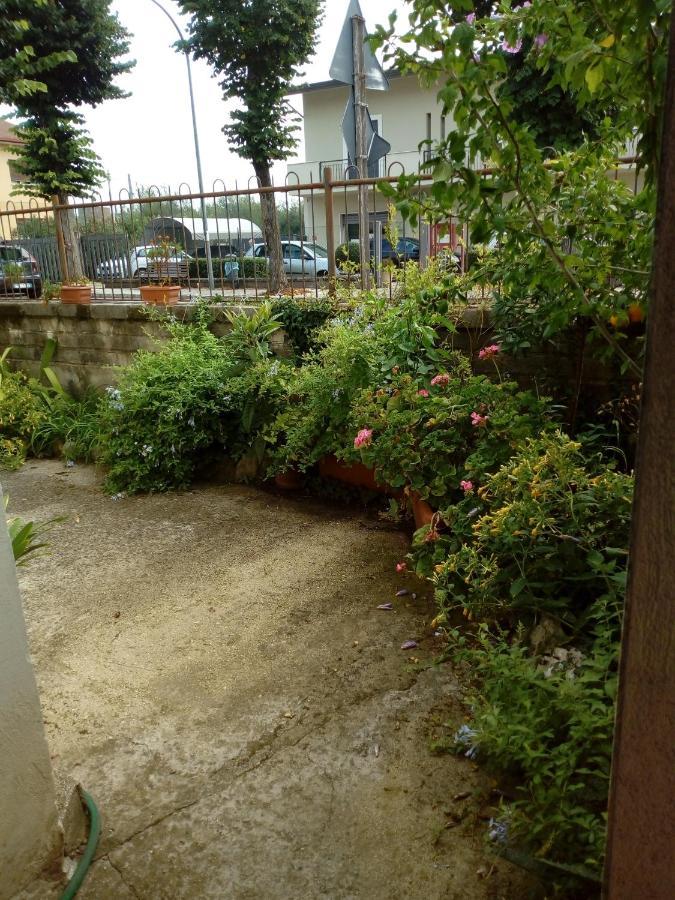 Bed and Breakfast Il Cactus San Giovanni Incarico Екстер'єр фото