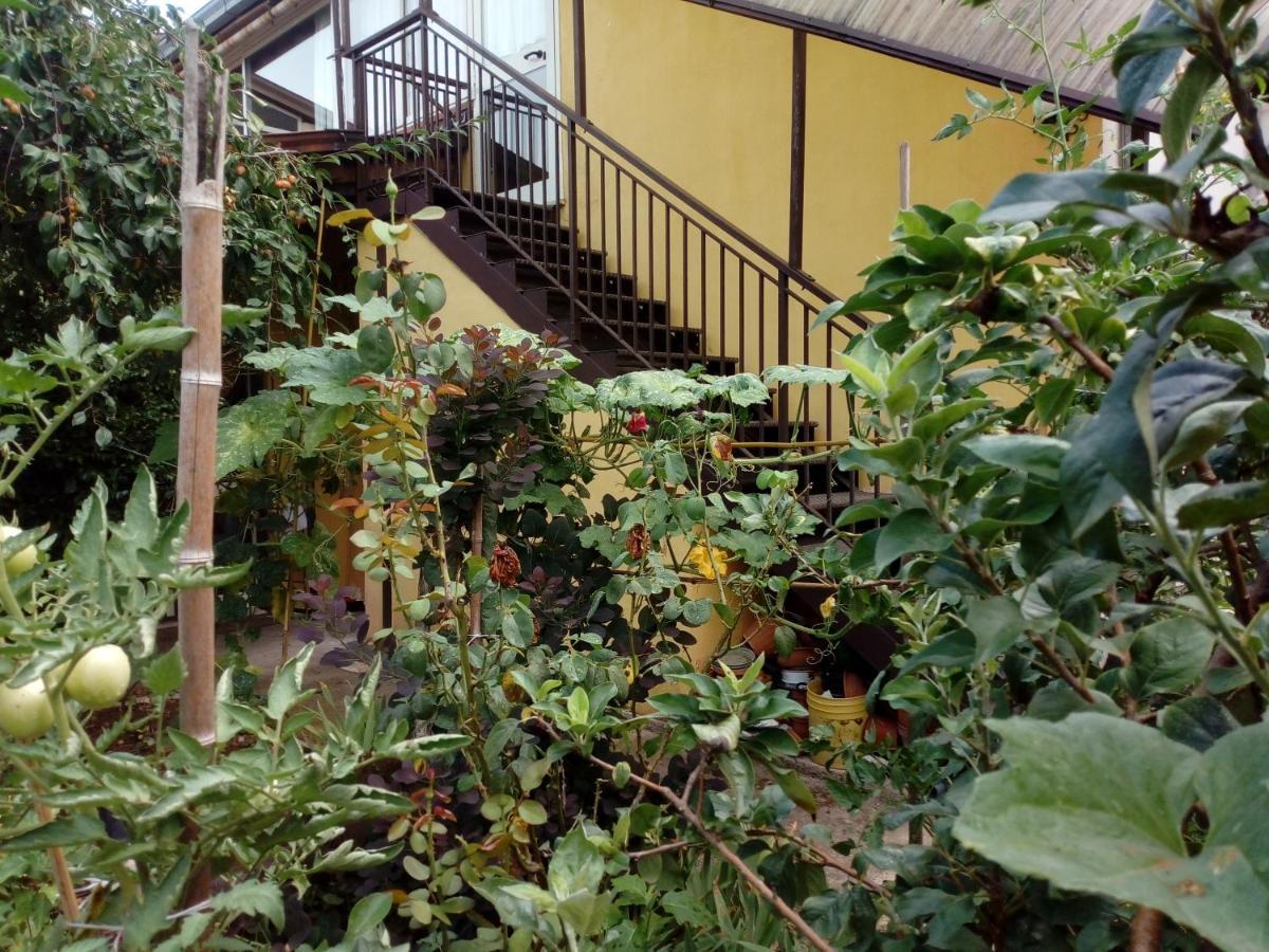 Bed and Breakfast Il Cactus San Giovanni Incarico Екстер'єр фото